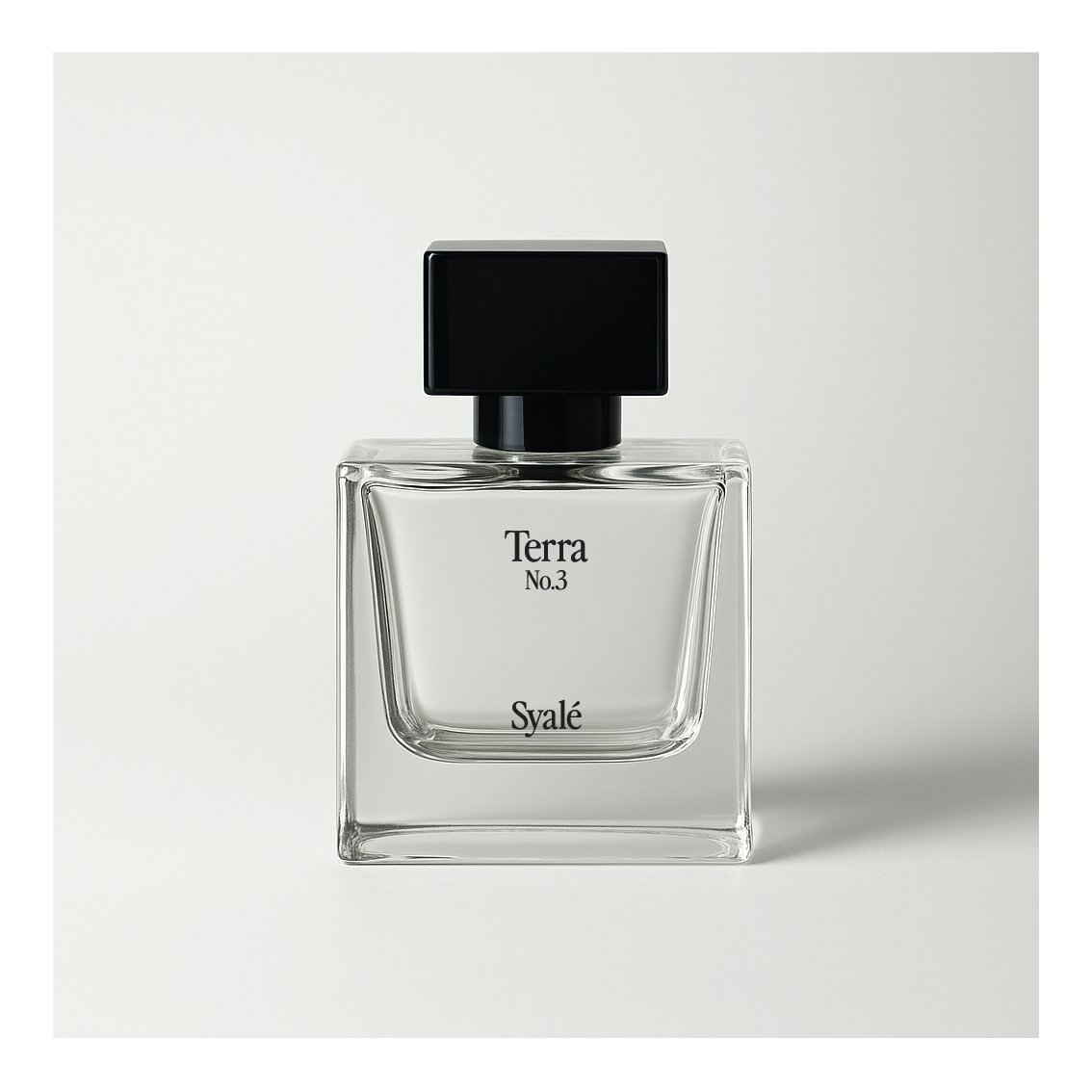 No. 3 — Terra